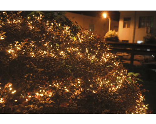LAFIORA Kerstverlichting LED clusterverlichting 1500 lampjes extra warm wit 15 meter LAFIORA Kerstverlichting LED clusterverlichting 1500 lampjes extra warm wit 15 meter
