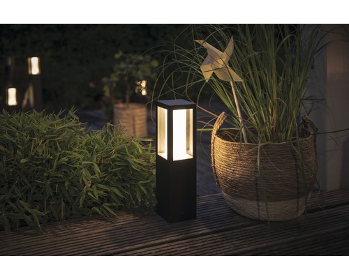 Tuinscène met een zwarte padverlichting, een plantenmand en groene planten op een houten terras