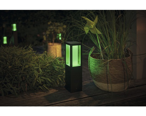 Verlichte tuin met lampen en planten