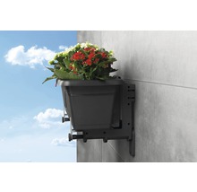Bloembak met beugel aan een muur gemonteerd, beplant met rode en witte bloemen