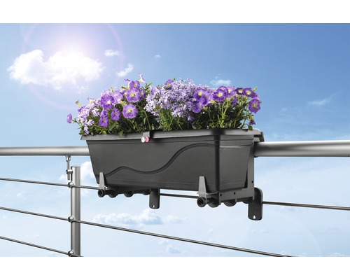 Zwarte balkonbak met paarse bloemen aan een reling