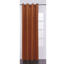 Verduisterend gordijn met ringen voor raam