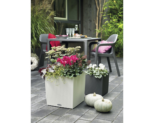 Decoratieve tuinscène met witte en donkere plantenbakken, beplant met bloemen, en pompoenen op de voorgrond.