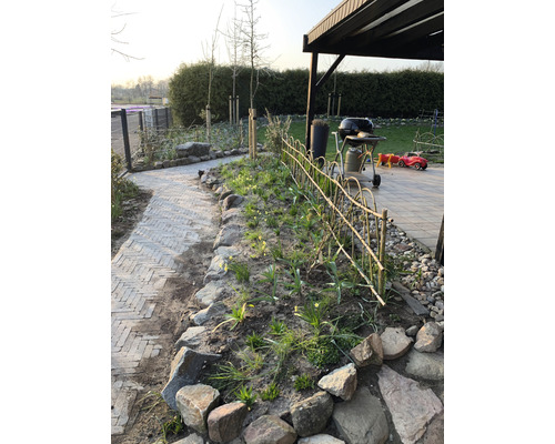 Tuin met stenen pad, hek, barbecue en beplanting