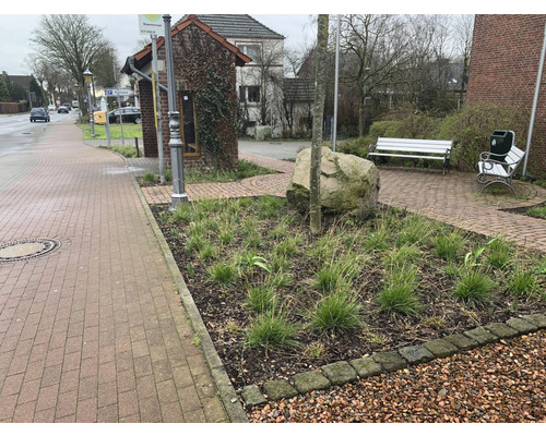 Buitenaanzicht met trottoir, beplant perk en zitplaatsen