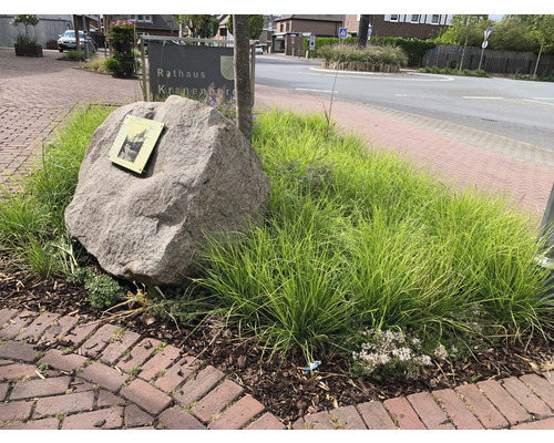 Decoratieve steen met metalen plaatje, omgeven door groene planten en stoeptegels