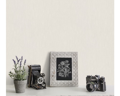Decoratieve scène met lijst, bloemen en camera''s op een plank