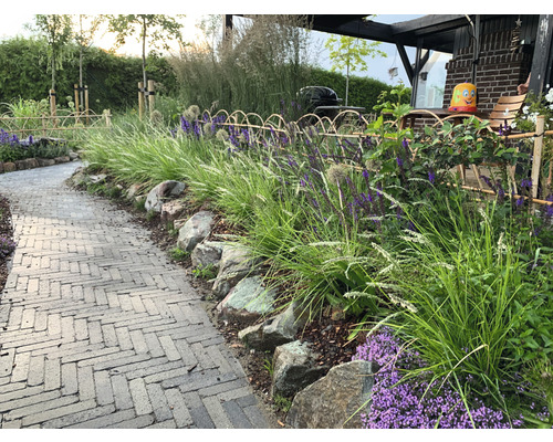 Tuinpad met bestrating, omgeven door stenen, gras en planten