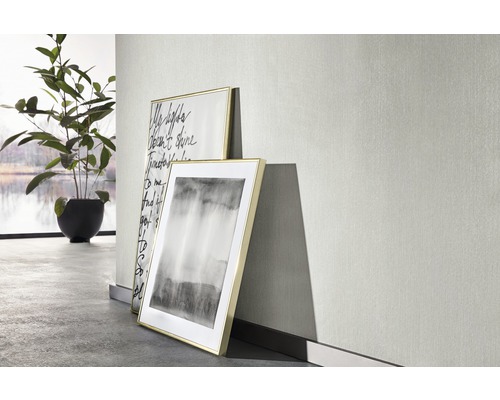 Twee ingelijste foto''s staan tegen een lichte muur, naast een kamerplant.