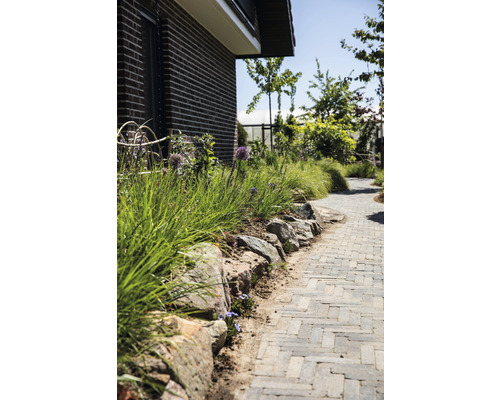 Tuinpad met stenen muur en beplanting