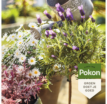 POKON Bio Terras & Balkon Planten voeding 1l-thumb-3