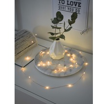 Decoratieve lichtslinger op een tafel met vaas en plant.