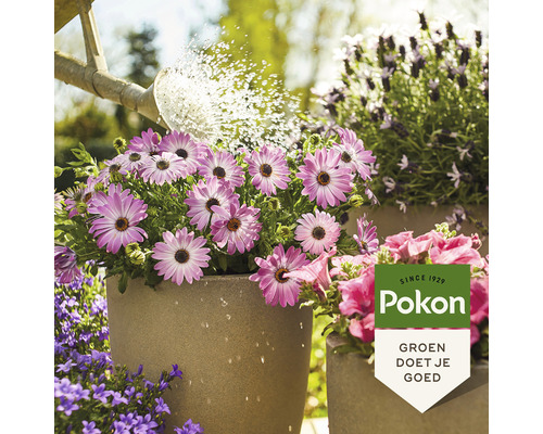 Gieter bewaterd bloemen in potten buiten. Pokon logo zichtbaar.