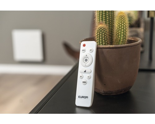 Eurom verwarmingsafstandsbediening naast cactus in pot