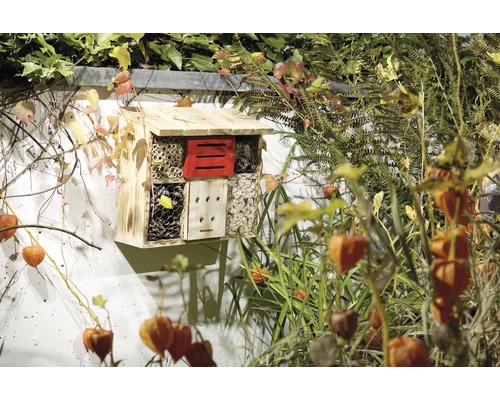 Houten insectenhotel aan een muur met planten