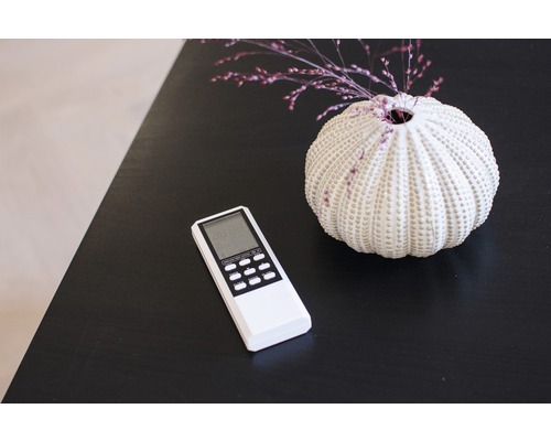 Afstandsbediening voor verwarming naast decoratieve vaas op tafel
