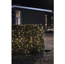 Verlichte heg met lichtsnoer voor een huis.