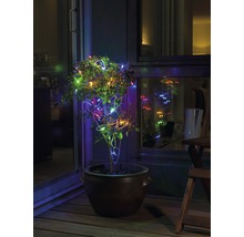 Decoratieve struik met lichtsnoer in een pot op een terras.
