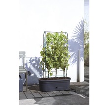 ELHO Green basics veggie wall 77,5x26 cm H 128 cm-thumb-6