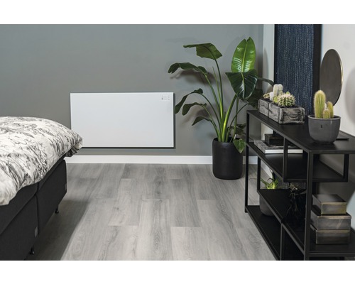 Woonkamer met verwarming, bed, plant en plank