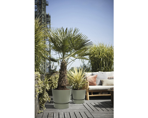 Scene met planten in plantenbakken op een terras