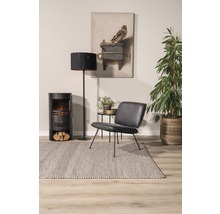 Woonkamer met kachel, staande lamp, fauteuil, vloerkleed en kamerplant