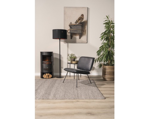 Woonkamer met kachel, staande lamp, fauteuil, vloerkleed en kamerplant