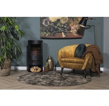 Woonkamer met kachel, fauteuil, tapijt en decoratie