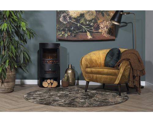 Woonkamer met kachel, fauteuil, tapijt en decoratie