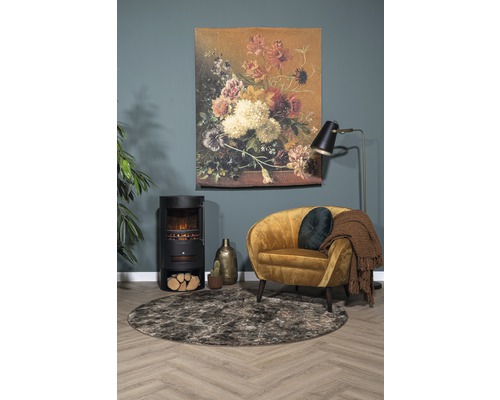 Woonkamer met kachel, fauteuil, vloerkleed en wanddecoratie