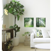 Woonkamer met muurdecoratie met bosmotieven, plant en bank