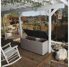 LIFETIME Opbergbox XXL kunststof grijs 150x61x68 cm, inhoud 495 L
