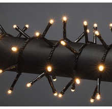 Lichtsnoer met warmwitte LEDs op zwarte kabel