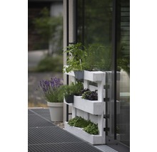 Pallet plantenbak met kruiden en lavendel