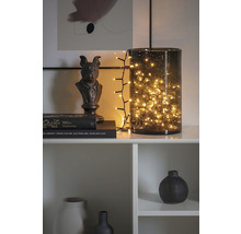 Decoratieve plank met glazen vaas, gevuld met een lichtsnoer, een dierenbuste en vazen