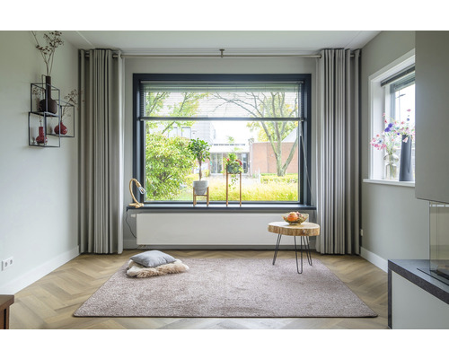 Woonkamer met vloerkleed, gordijnen en raam