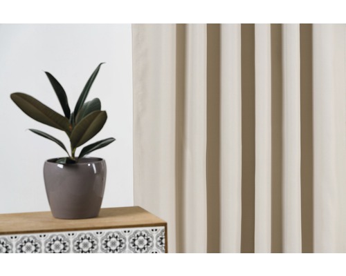 Decoratieve kamer met gordijn en rubberboom in pot
