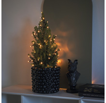 Decoratieve naaldboom met lichtjes in een pot