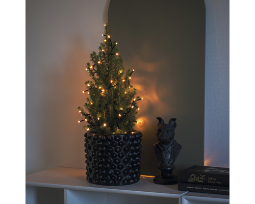Decoratieve naaldboom met lichtjes in een pot