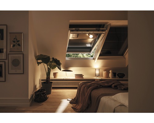 Gezellige slaapkamer met dakramen voor natuurlijk licht en ventilatie.