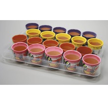 Tray met meerdere bloempotten
