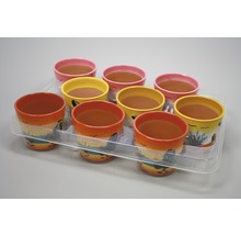 Acht beschilderde bloempotten op een doorzichtige plastic bak.