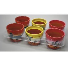 Zes beschilderde bloempotten in een transparante plastic verpakking