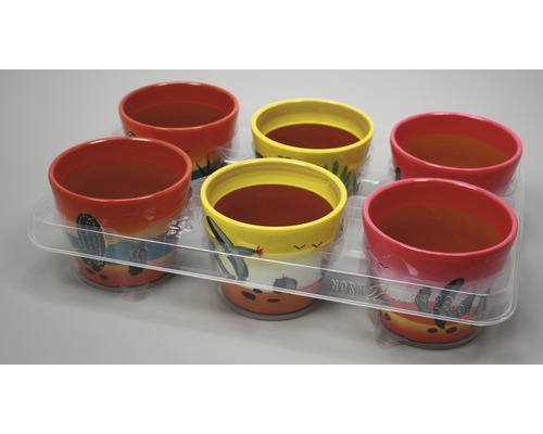 Zes beschilderde bloempotten in een transparante plastic verpakking