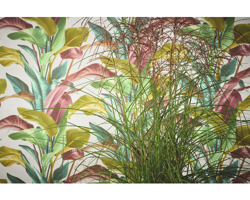 Decoratief behang met tropische bladeren en siergras