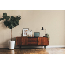 Woonkamer met dressoir, bureaulamp, kamerplant en decoratie