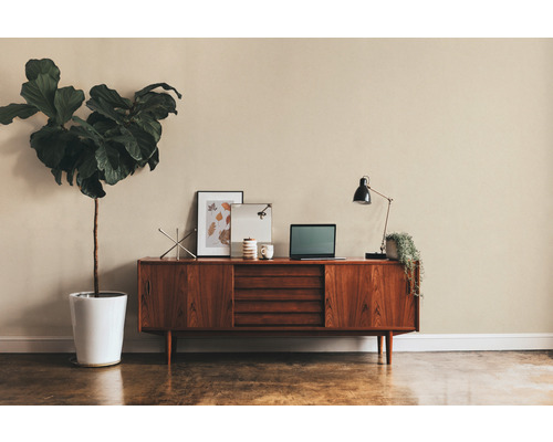 Woonkamer met dressoir, bureaulamp, kamerplant en decoratie