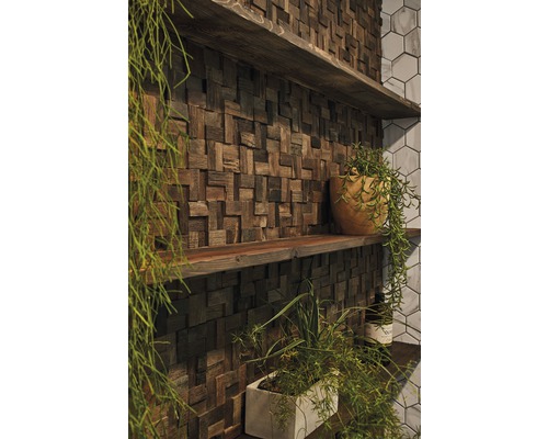 Wanddecoratie met houten panelen en planken versierd met planten.