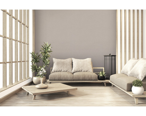 Lichte kamer in Japanse stijl met twee banken en planten