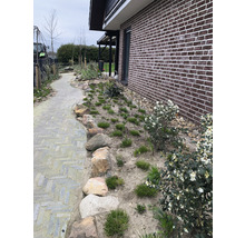 Tuinpad naast een huis met bakstenen muur en beplanting
